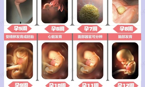 怀孕初期能喝葡萄糖吗-孕妇初期喝葡萄糖-专业孕妇初期喝葡萄糖好吗平台-孕初期能喝葡萄糖口服液吗